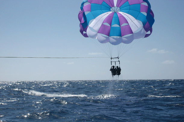 parasailing1.gif